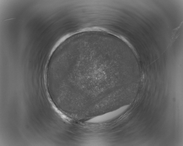 X0000080191054200701051718