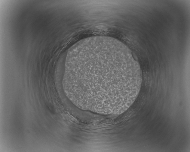 X0000080191057200701051717