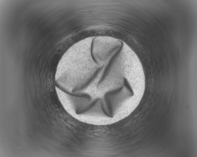 X0000080191062200701051717