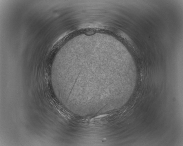 X0000080191064200701051717