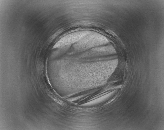 X0000080191065200701051717