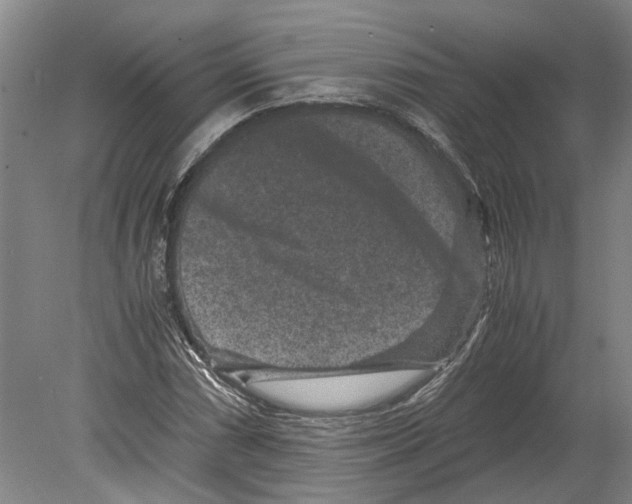 X0000080191066200701051717