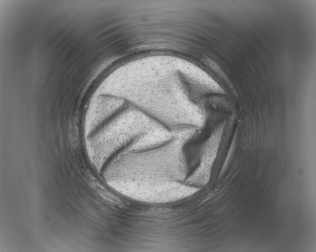 X0000080191068200701051717