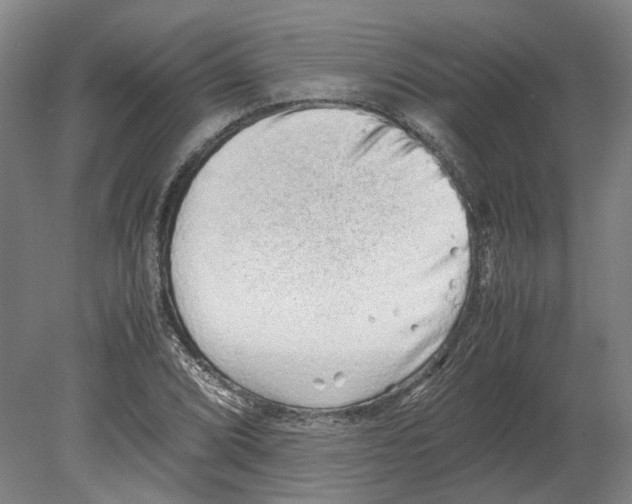 X0000080191072200701051717
