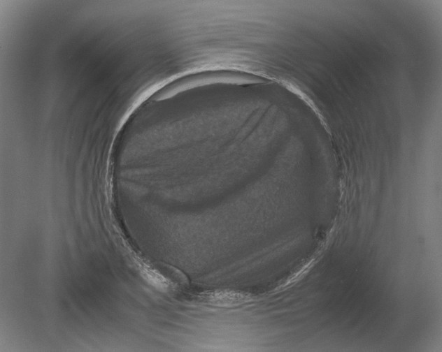 X0000080191077200701051717