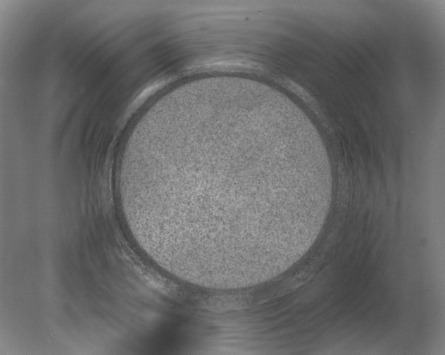 X0000080191078200701051717
