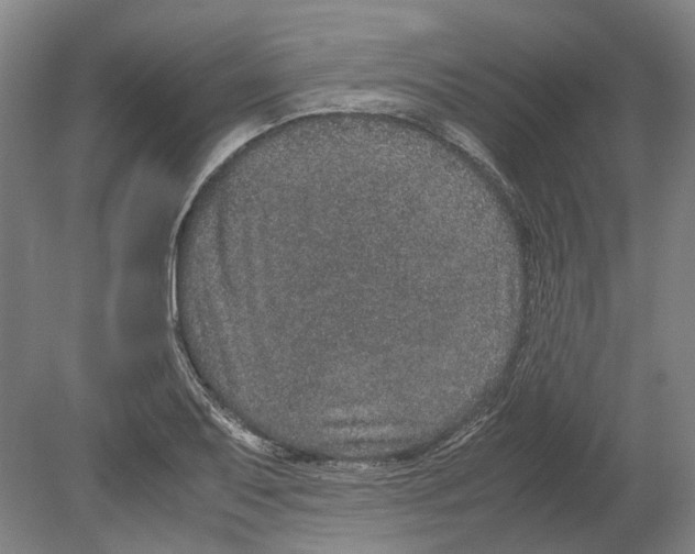 X0000080191079200701051717
