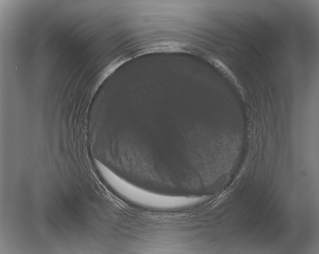 X0000080191081200701051717