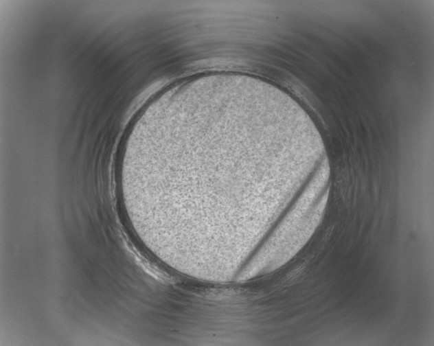 X0000080191082200701051717