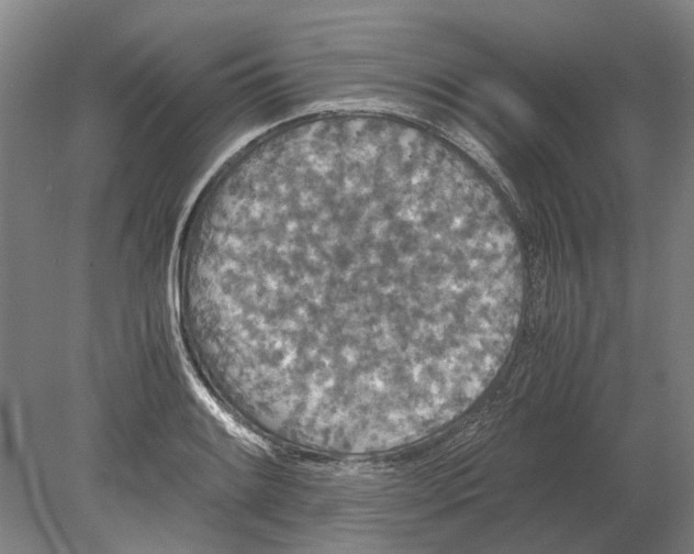 X0000080191084200701051717