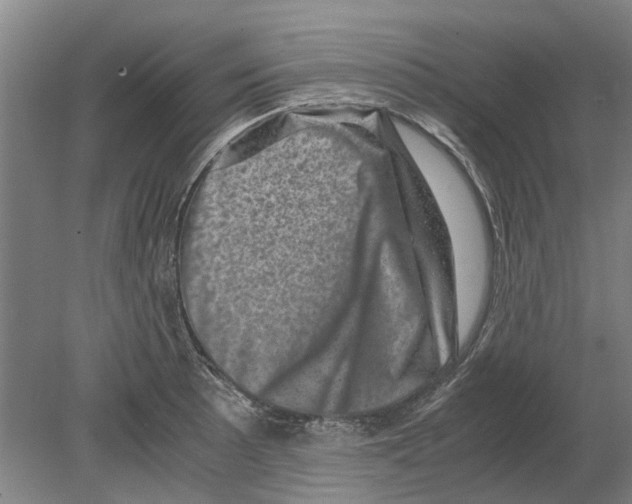 X0000080191089200701051717