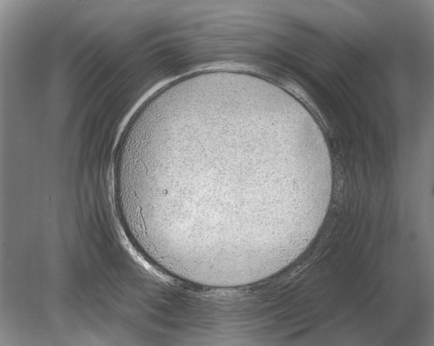 X0000080191092200701051716