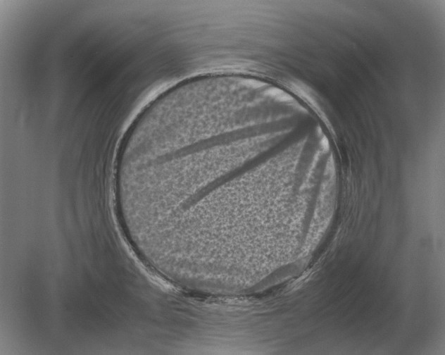X0000080191093200701051716