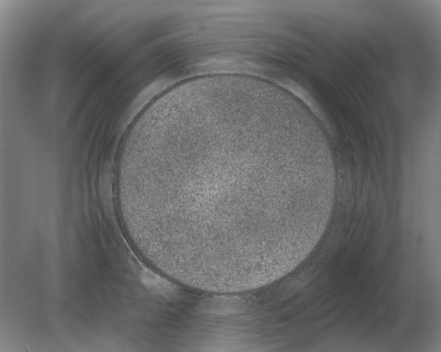 X0000080191094200701051716