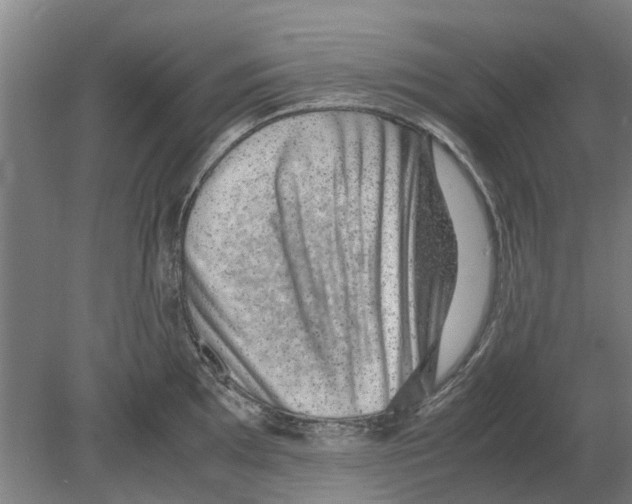 X0000080191097200701051716