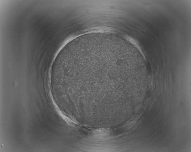 X0000080191099200701051716