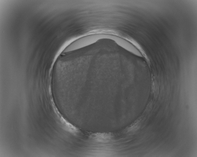 X0000080191102200701051716