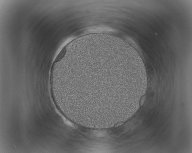 X0000080191103200701051716