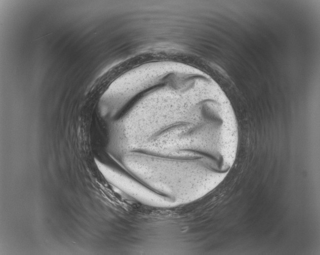 X0000080191112200701051716