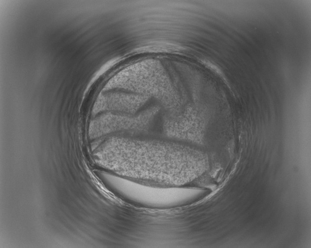 X0000080191114200701051716