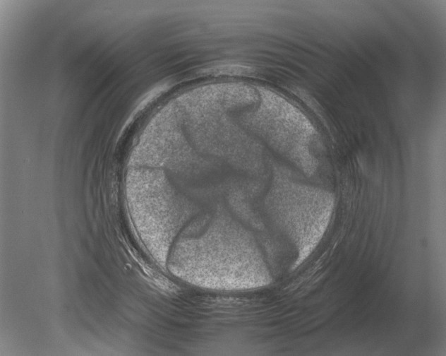 X0000080191115200701051716