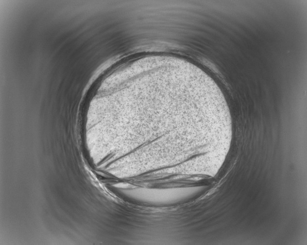 X0000080191122200701051716