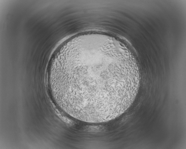 X0000080191125200701051716