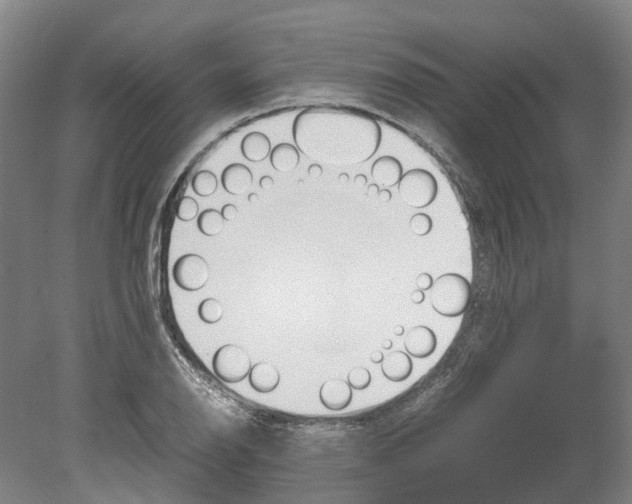 X0000080191126200701051716