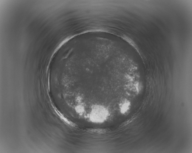 X0000080191127200701051716