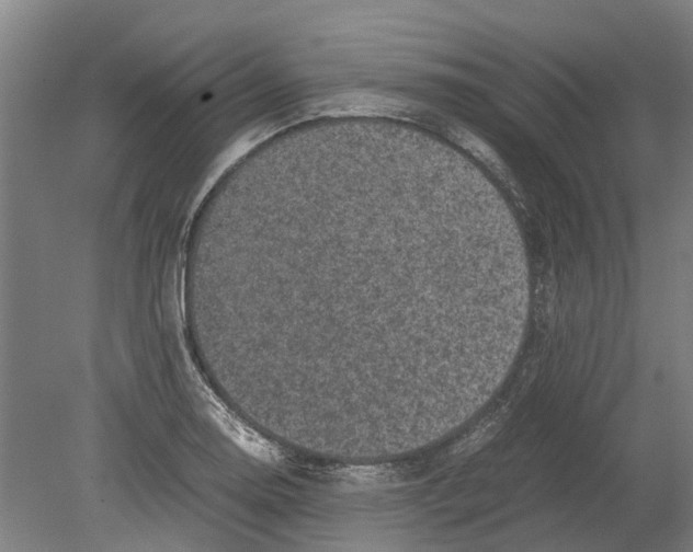 X0000080191130200701051716