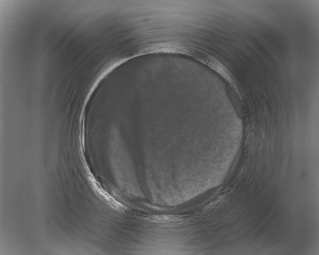 X0000080191132200701051716