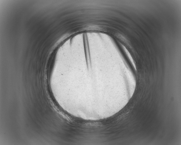 X0000080191133200701051716