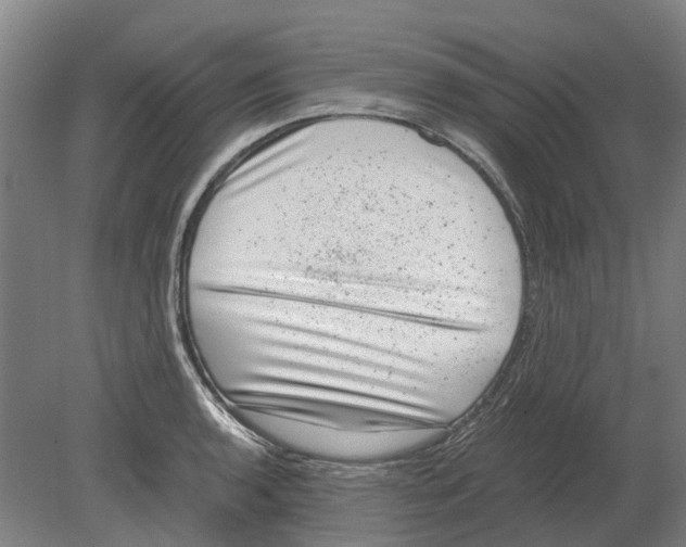 X0000080191136200701051716