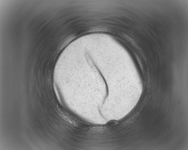 X0000080191137200701051716