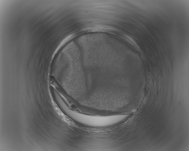 X0000080191138200701051716