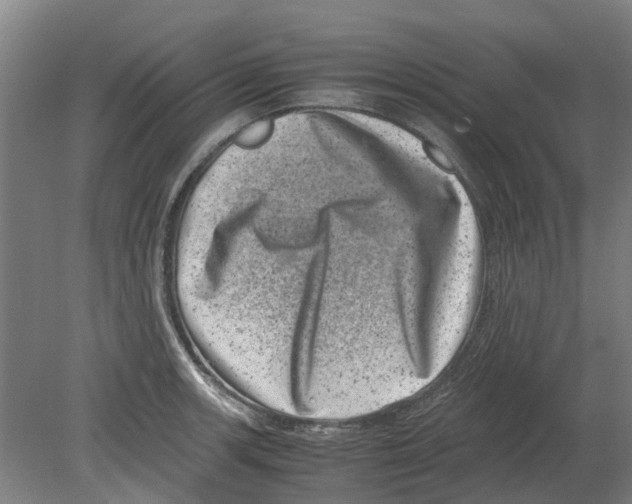 X0000080191139200701051716