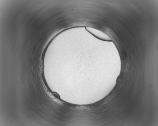 X0000080191140200701051716