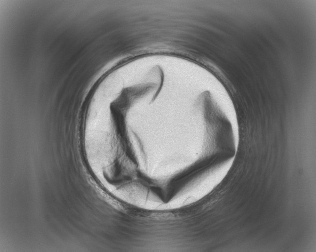 X0000080191142200701051716
