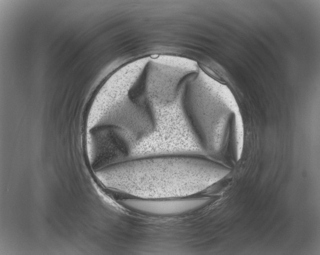 X0000080191143200701051716