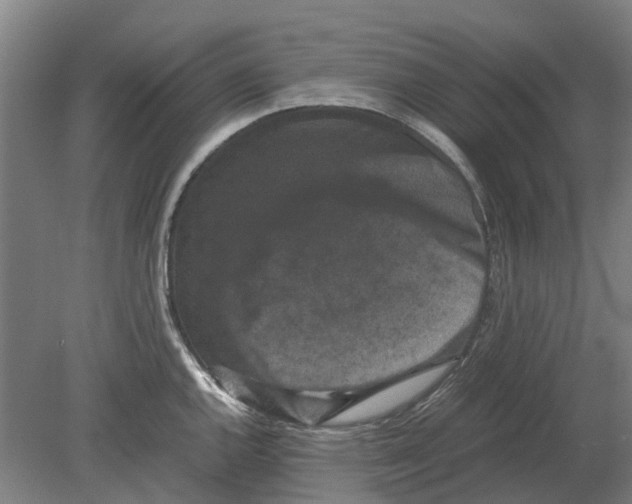 X0000080191144200701051716