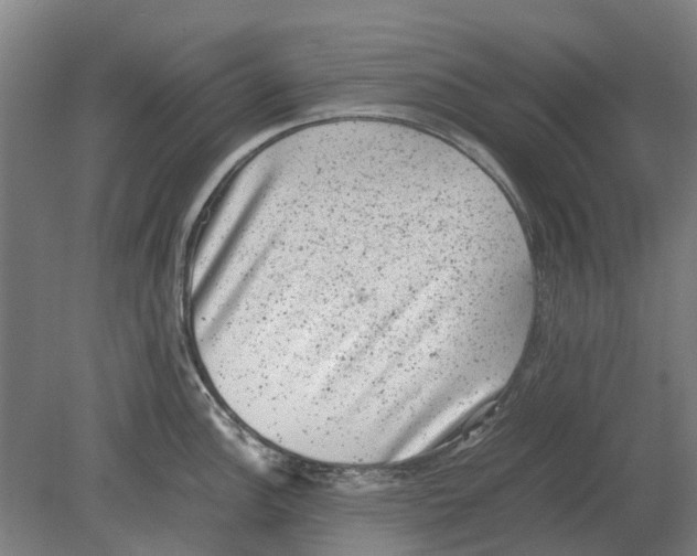 X0000080191148200701051716