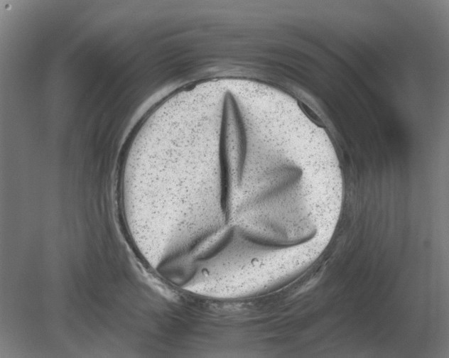 X0000080191149200701051716