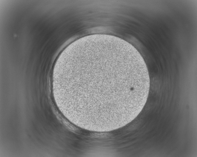 X0000080191150200701051716