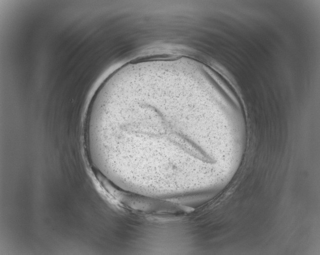 X0000080191152200701051716