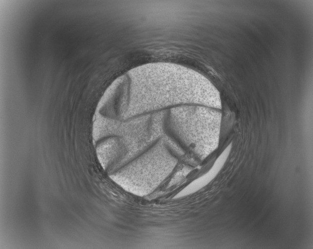 X0000080191153200701051715
