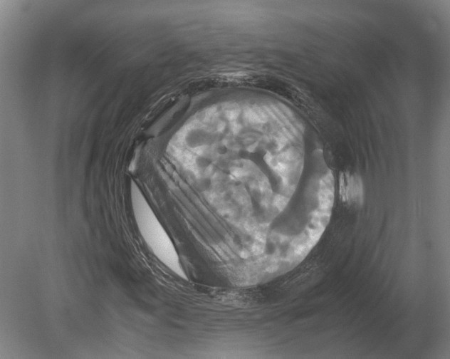 X0000080191155200701051715
