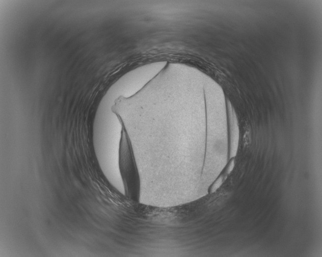 X0000080191156200701051715