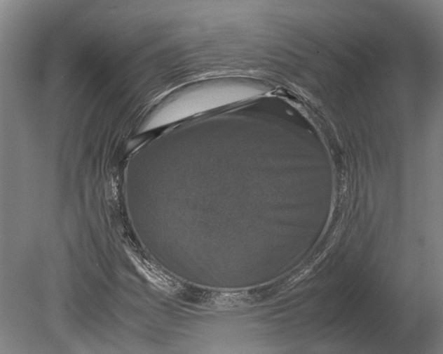 X0000080191161200701051715