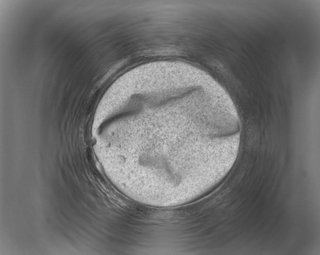 X0000080191162200701051715