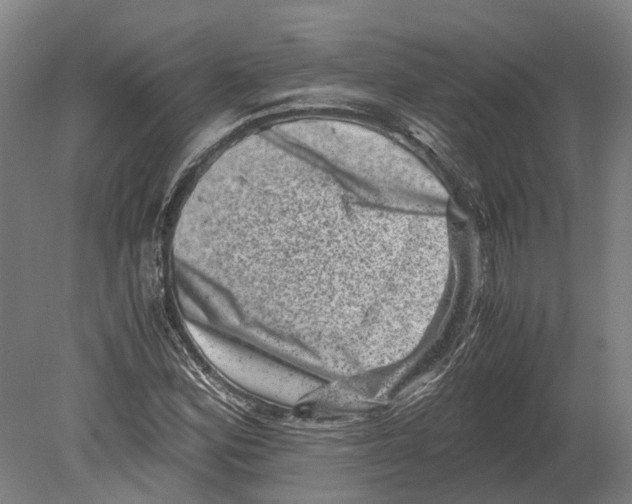 X0000080191164200701051715